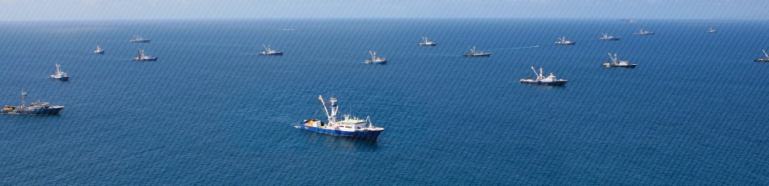 Opagac aboga por una mayor transparencia en la tramitación de licencias de pesca de estados ribereños del Atlántico