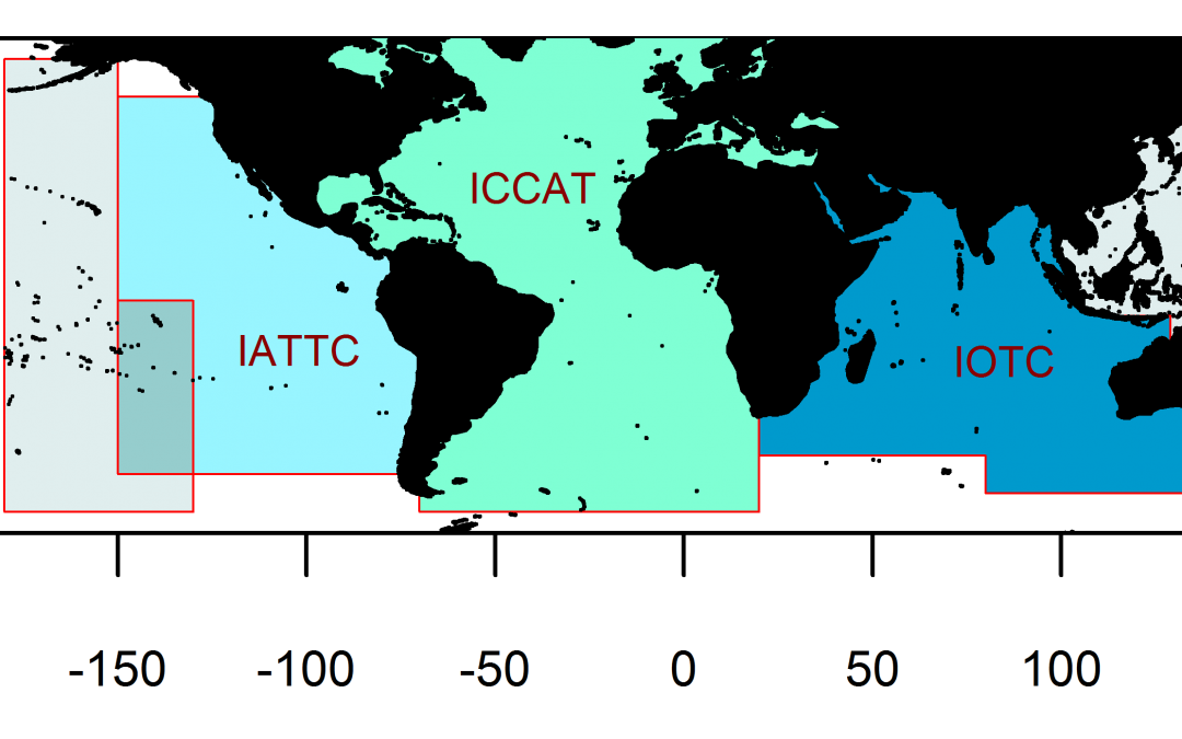 OPAGAC y WWF reclaman a ICCAT una gestión centralizada y transparente de la pesquería de atún tropical