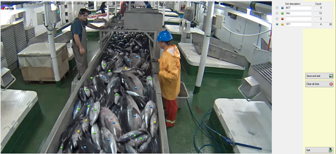 OPAGAC mejora la gestión de la pesquería de atún tropical en el programa Common Oceans-ABJN