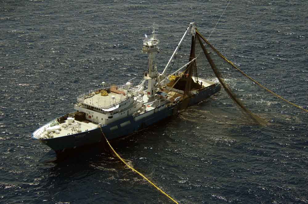 La flota europea de altura solicita a Borrell el despliegue urgente de fuerzas militares en el Golfo de Guinea ante la escalada de la piratería